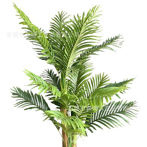 厂家仿真植物包棕毛散尾葵绿植盆栽仿真凤尾葵多杆竹葵橱窗摆件