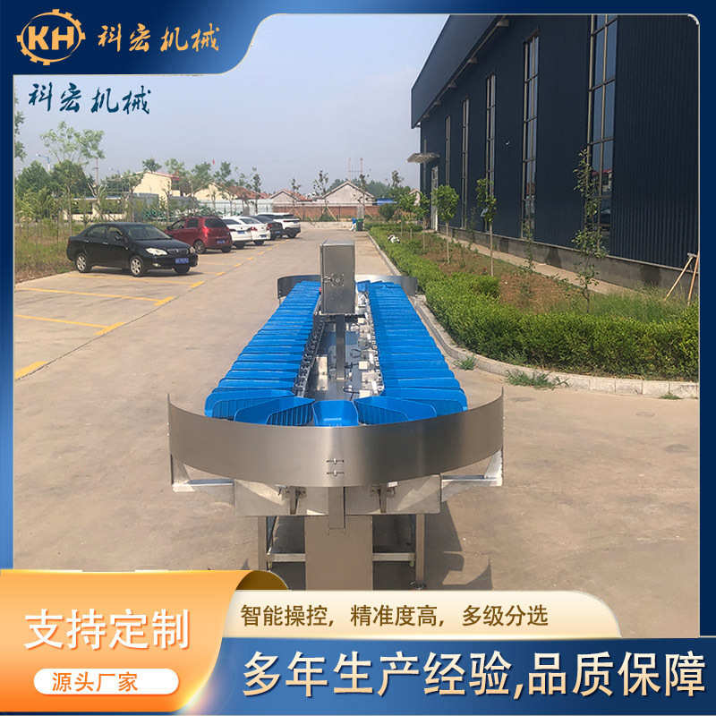牡蛎自动自动重量分选机 海参牡蛎分拣设备 北极贝鱿鱼称重分级机