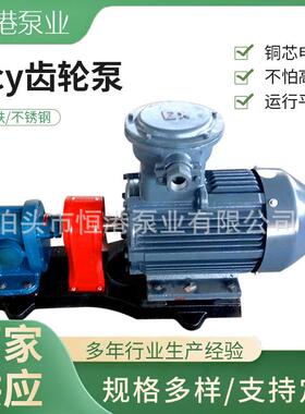 耐磨齿轮泵 KCB齿轮泵 2CY齿轮泵 YCB齿轮泵 CB-4 CB-7齿轮供应