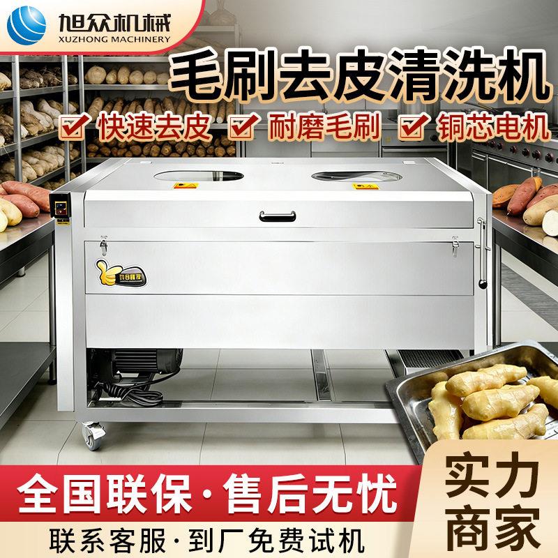 商用带盖毛刷清洗机多功能果蔬类肉制品洗菜机食堂酒店净洗机设备