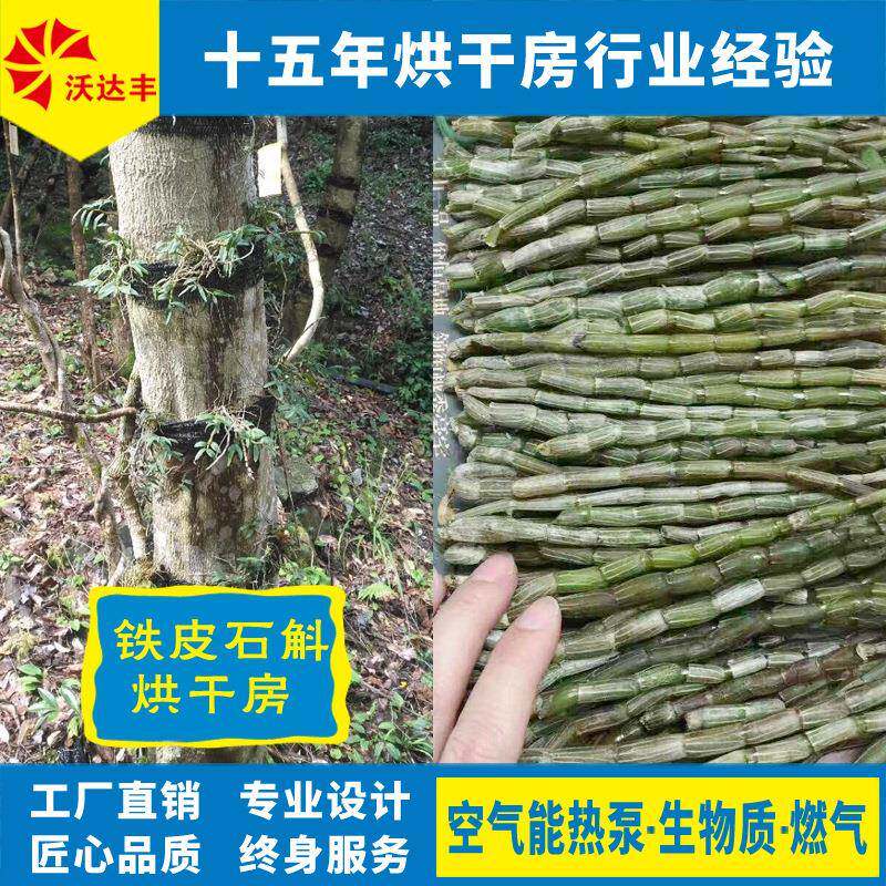 厂家直供铁皮石斛热泵烘干房石斛枫斗食品果蔬中药材热风烘干机