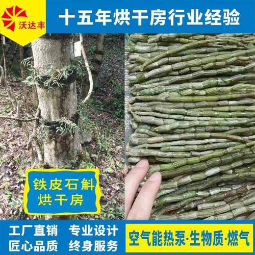 厂家直供铁皮石斛热泵烘干房石斛枫斗食品果蔬中药材热风烘干机