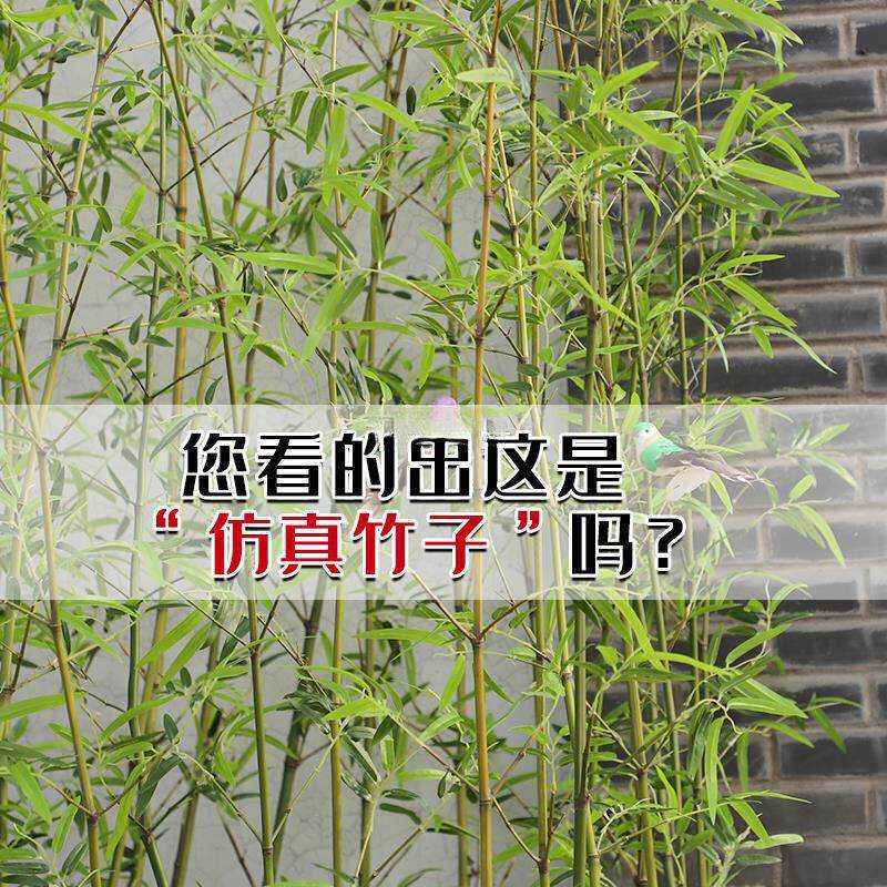 竹子室内装饰假竹子屏风隔断挡墙室外装饰竹庭院酒店商场造景