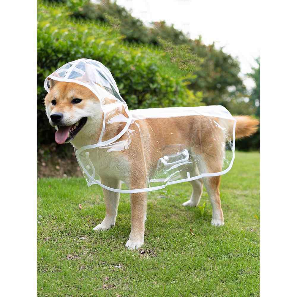 狗雨衣泰迪柴犬特别小尺寸狗金毛猎犬中型狗小狗雨披防水宠物衣服