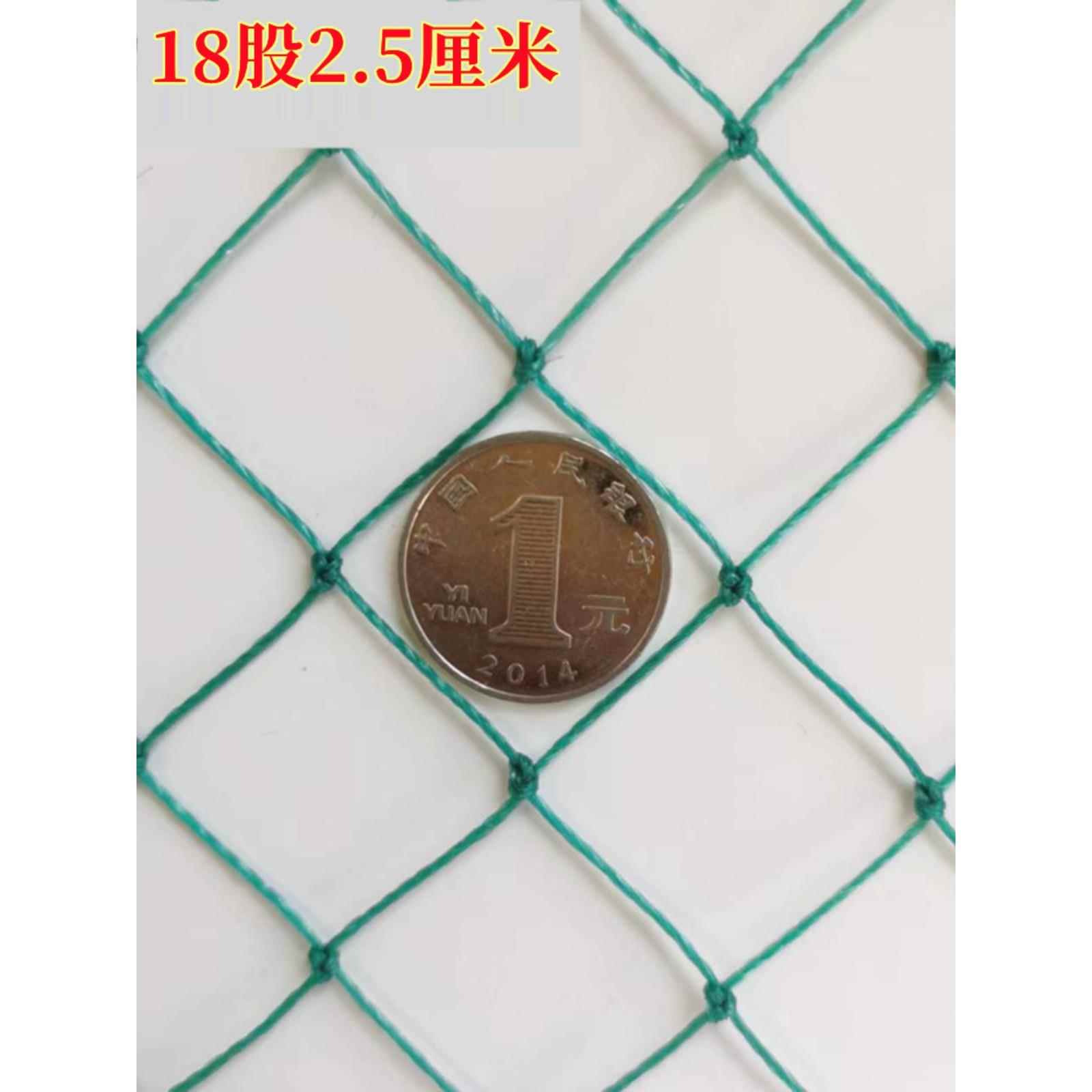 户外防鸟网养殖网护栏网围栏网天网养鸡网小孔2.5厘米鸟尼龙网