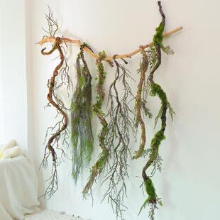 彷真苔藓树藤枯藤森系景观造景装饰摆放假藤条青苔藤陈列树枝花艺