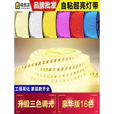 LED灯带超亮220v自粘灯带三色双排2835灯条 吊顶客厅七彩遥控光带