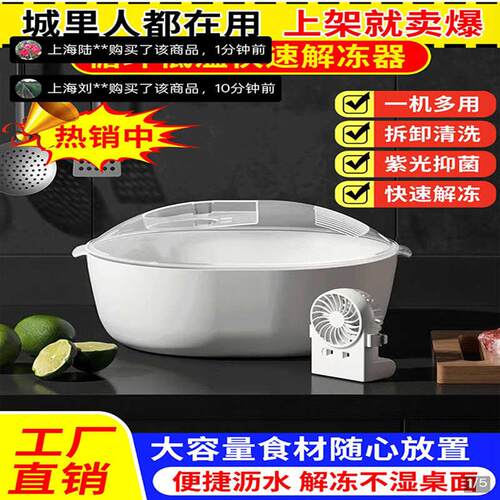 德国黑科技快速解冻家用食物保鲜机朴永正品多功能冻肉化冻盘