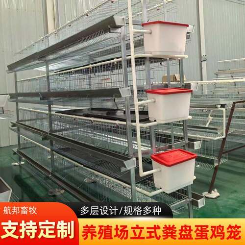 立体式粪盘蛋鸡笼养殖框架镀锌材质多层立体养殖笼蛋鸡养殖鸡笼