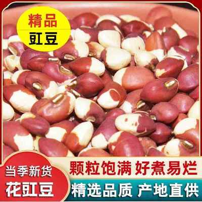河南花豇豆农家自产江豆花豆子姜