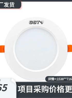 海湾嵌顶疏散照明灯SN650 SN651 N652集电集控型消防应急照明灯具