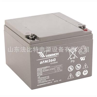 威神铅酸蓄电池6FM38G三瑞12V38Ah直流屏EPS 量大从优 VISION