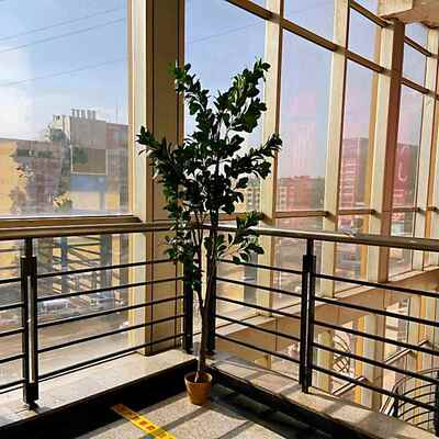 仿真广玉兰荷8804花玉树洋玉兰室内外商场树广场酒店园林装树饰造