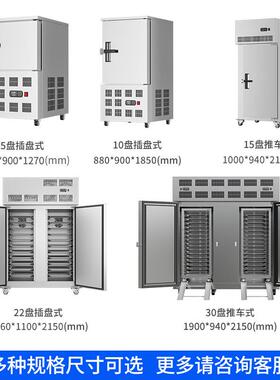 速冻商用4包5盘推车式急冻子海参慕斯类榴460莲肉柜风冷速冻机