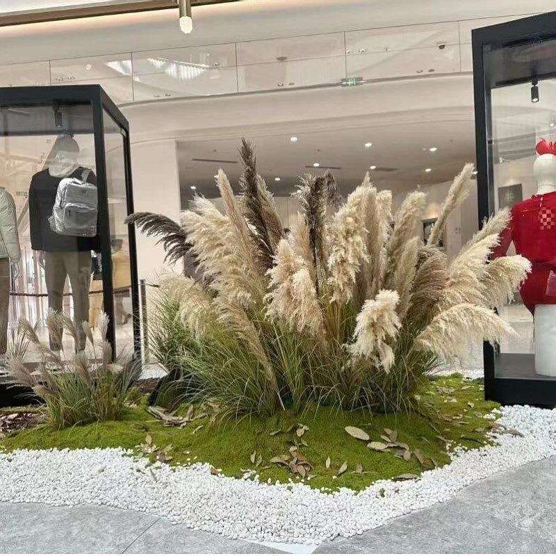 高端天然芦苇植物盆栽仿生绿植干花摆件室内橱窗店铺落地装饰造景