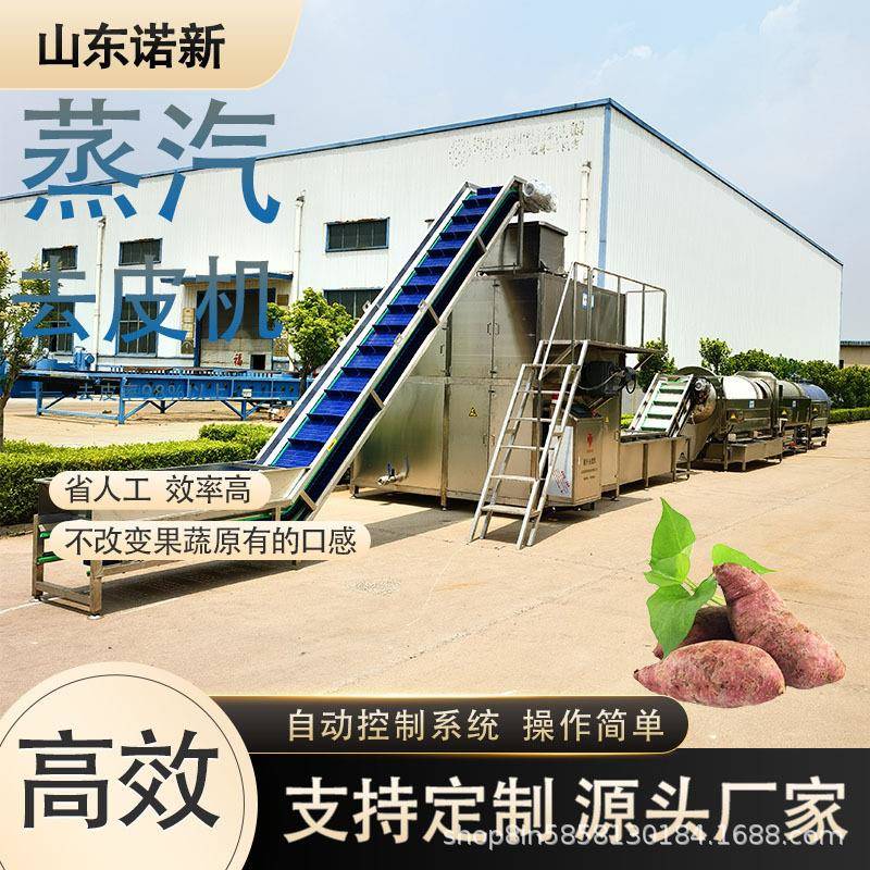 诺新大型商用葡萄土豆蒸汽去皮机预制菜加工设备