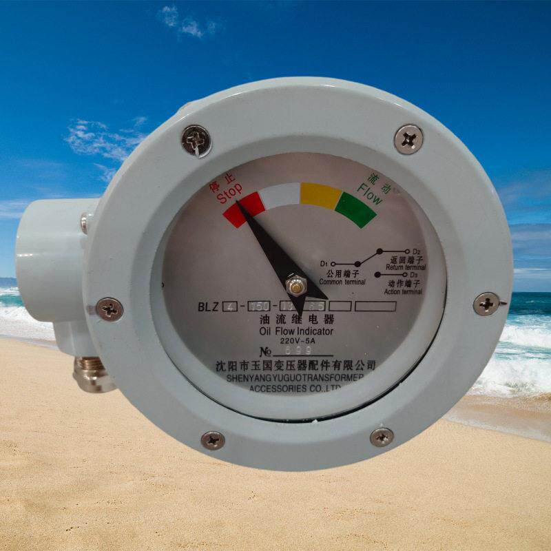 YJ4-100油流继电器变压器流量指示器BLZ4-125YJ2-150 YJ1-50 BZL1