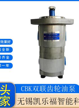 采煤机油泵CBK1016/1004-B4F厂家 长江齿轮油泵