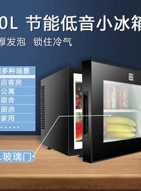 绿零20L 酒店客房用小冰箱小型迷你透明立式展示冷藏柜静音小冰柜