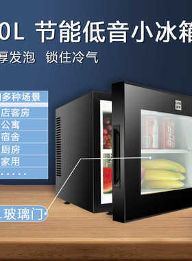 绿零20L 酒店客房用小冰箱小型迷你透明立式展示冷藏柜静音小冰柜