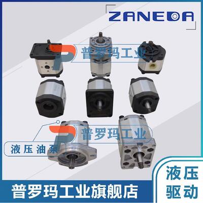 ZANEDA齿轮油泵2ZAPAOD2ZAPB0DB1B2Q1Q2Q0-T0E0/COUO/T1F0