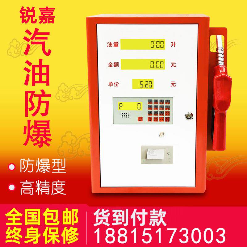 锐嘉12V24V220V车载 静音加油机全自动柴油 小型加油机