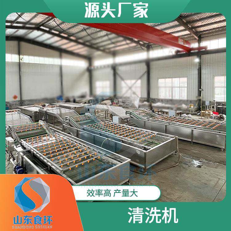 莴笋高压喷淋果蔬清洗机蔬菜气泡清洗机大枣枸杞清洗机厂家