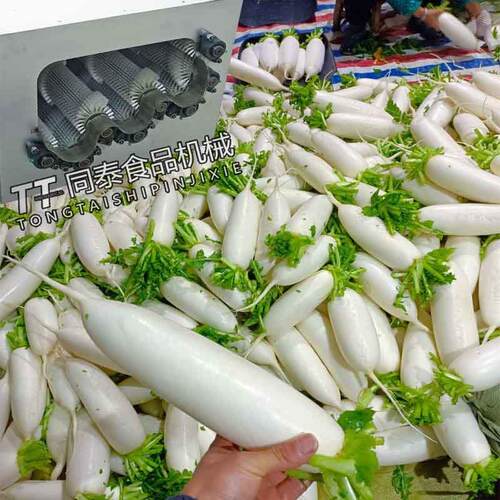 TQX-2200系列自动喷淋萝卜清洗机，白萝卜螺旋连续清洗机