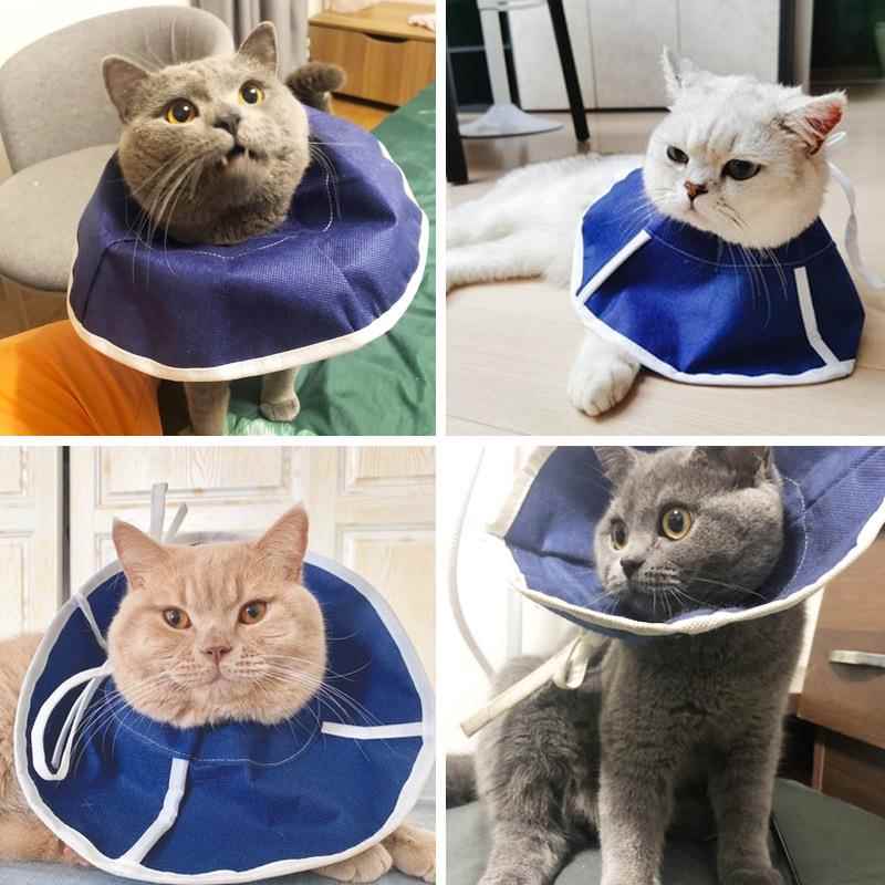 伊丽莎白圈猫咪项圈脖猫宠物狗狗头套绝育术后防咬防舔耻辱圈用品