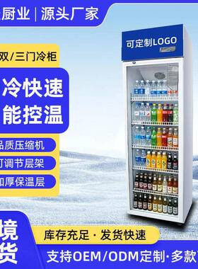 冷藏展示柜双门冷藏保鲜柜超市饭店啤酒饮料柜立式风冷上机冷柜