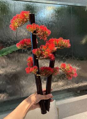 刺身摆盘装饰盘饰花草日式仿真松树迎客松海鲜姿造拼盘意境菜摆件