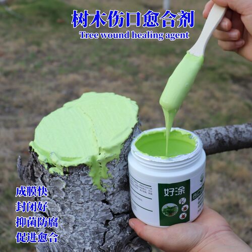 植物伤口合剂涂抹切口栽培基质