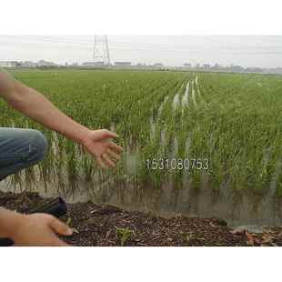 电动施肥机 撒化肥机器秒杀 农用负冲程背式 动二汽机油机施肥器EYQ