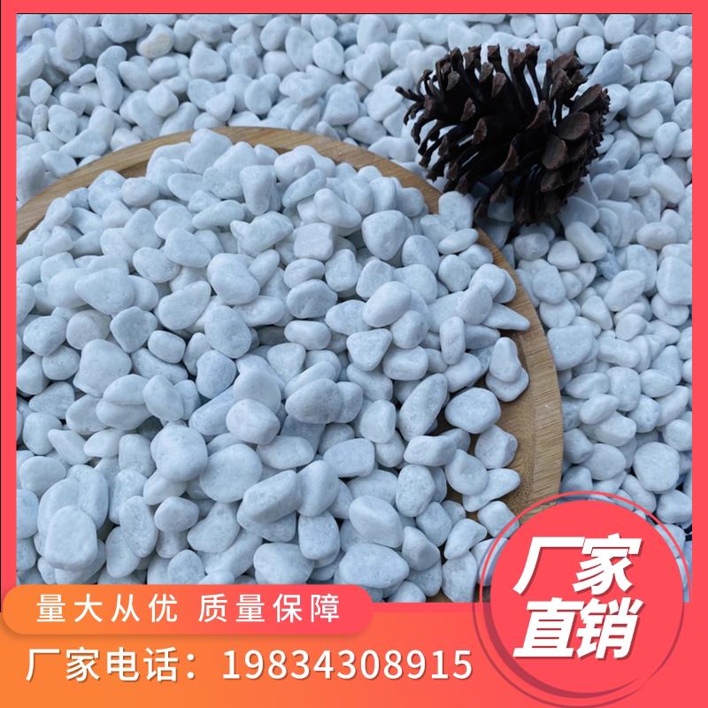 河北高抛纯白白色鹅卵石子石头庭院铺路园艺阳台装饰抛光雨花石