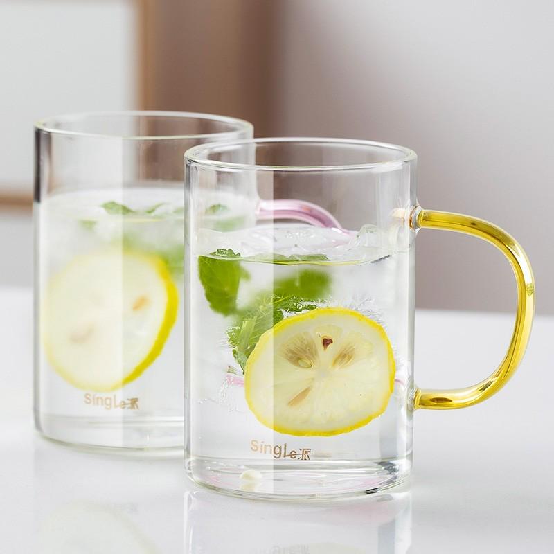 家用水杯玻璃杯带把手耐热杯子玻璃水杯泡茶杯客厅喝水杯杯具包邮