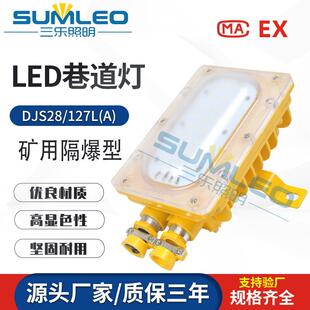矿用隔爆型兼本安型LED巷道灯矿用LED照明灯投光灯 DJS28 127L