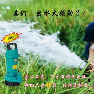 潜水泵家用220V小型浇菜抽水机太阳能增压泵高扬程4寸排污抽水泵