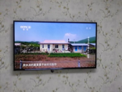 评价揭秘创维55E33A与55M7S哪款好用？？使用差别大不大