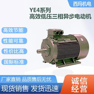 西安西玛电机YE4-315S-4极110W高效IE4低压交流三相异步电动机厂