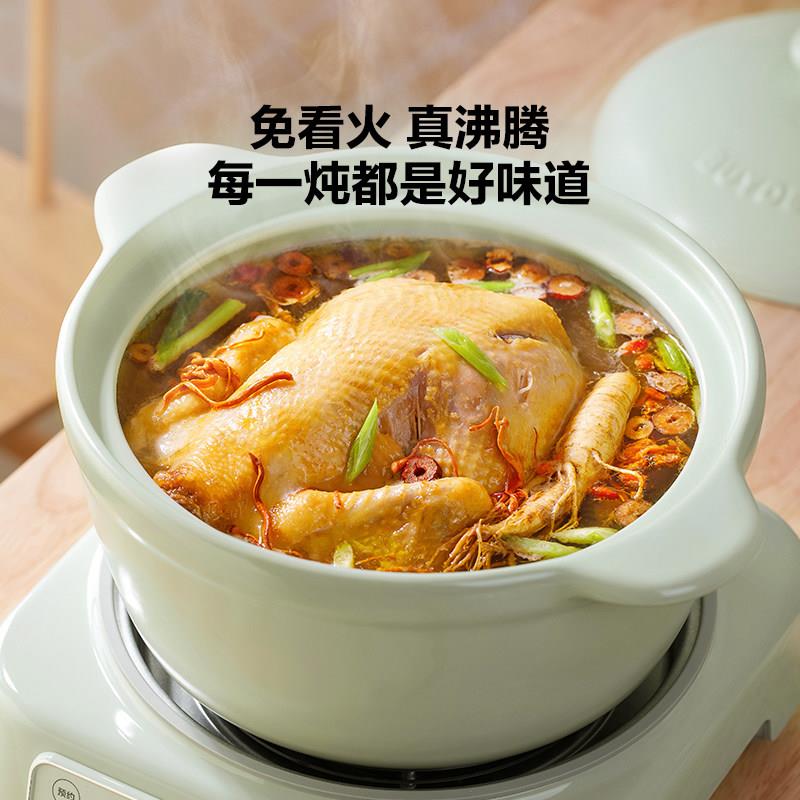 电炖锅LP北鼎电炖业锅智专能煲锅汤免看火精炖陶瓷锅电砂锅多功能