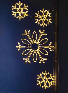 化节日路灯亮装案雪饰LEYR-DG-25D道路杆造型灯公园花景观亮化灯