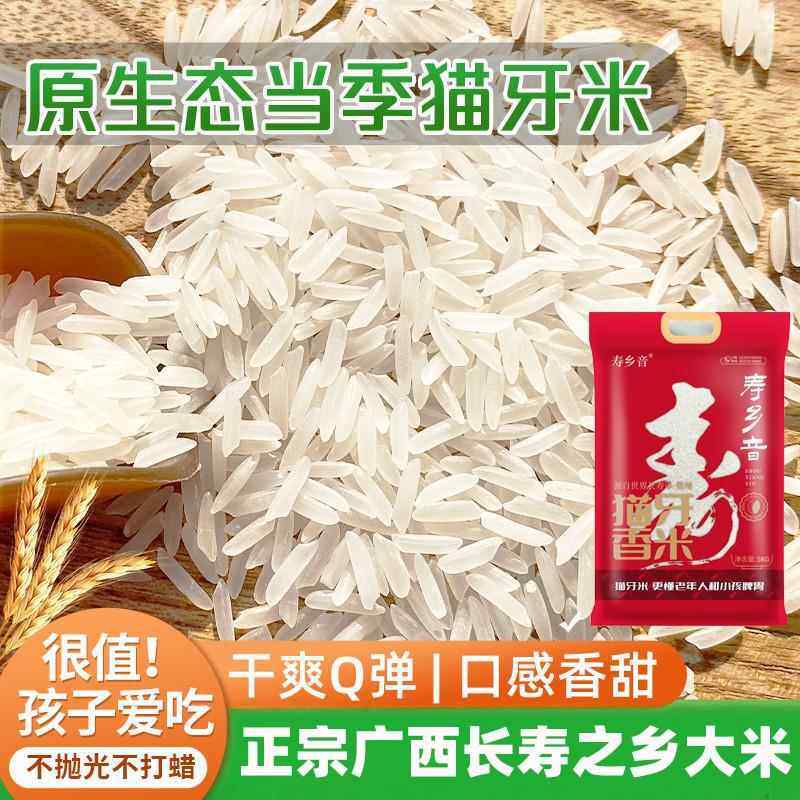 猫牙米长粒香米广西丝苗大米现磨10斤超长油粘官方旗舰店,粮油调味/速食/干货/烘焙,方便粉丝/粉条,淘宝优惠券,粉丝福利购,淘宝优惠卷