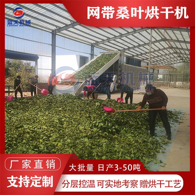 网带桑叶烘干机多层网带霜桑叶铁扇子烘干设备蚕叶中药材干燥机
