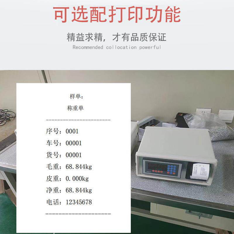 TY6D+P型六位显示仪表 称重测力控制显示仪 重量定量控制器打印