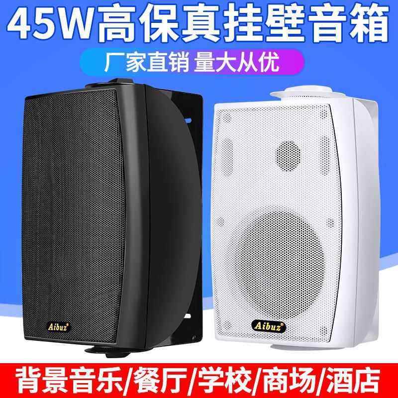ABZ壁挂音箱YLD-225壁 挂会喇叭音响 教室店铺商场广议室背景音乐