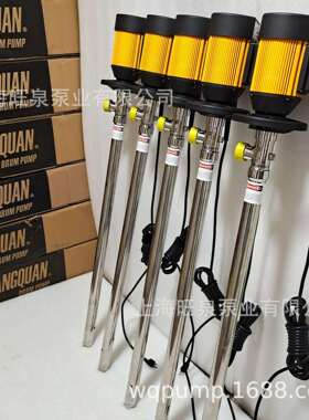 上海旺泉HD-E2-V+SS316L-1000HP高扬程插桶泵