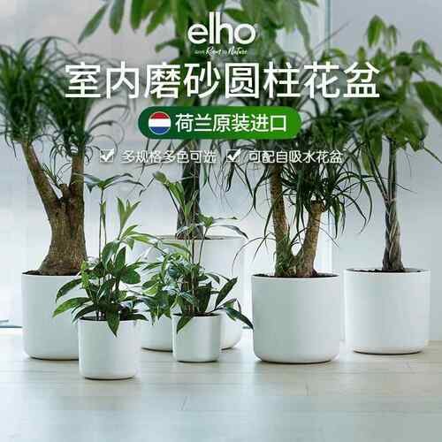 elho花盆北欧白色绿植现代塑料套盆自动自吸水盆景盆塑料盆大
