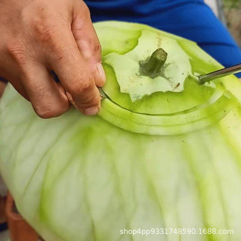 手动双器条旋转葫工芦角bmz瓜冬神东北葫芦条旋子专瓜用具刮葫芦