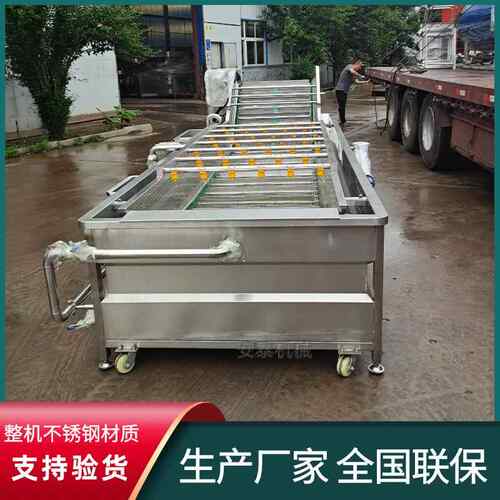 蒲公英茶气泡清洗机全自动鱼腥草清洗机高压喷淋枸杞气泡清洗机