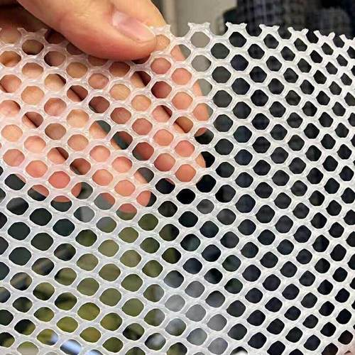 防护网小孔塑料养殖网格养鸡网